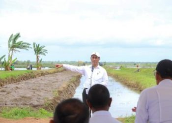 Malaysia Minta 24000 Ton Beras dari Indonesia, Mentan: Akan Dikirim oleh Pengusaha