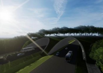 Jembatan Satwa di IKN Dekat Hutan Lindung Akan Dibangun di Tol
