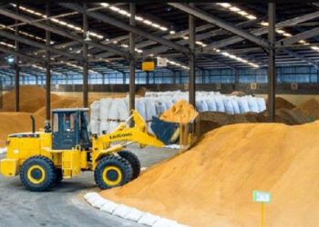 Emiten Unggas Hadapi Fluktuasi Harga Impor Bahan Baku dan Penurunan Daya Beli
