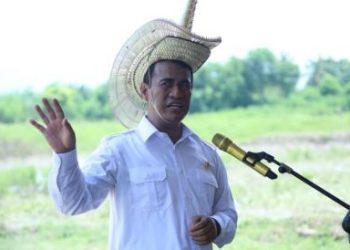 Stok Mencapai 4 Juta Ton, Mentan Harap Tidak Ada Impor Beras