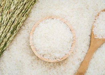 Stok Beras Menumpuk, Bulog Ambil Langkah untuk Pertahankan Kualitas