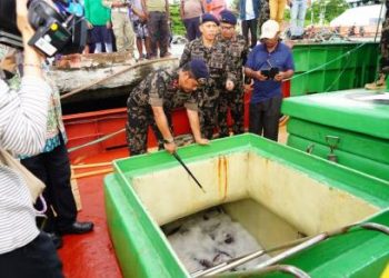 Penyidikan Kasus Kapal Ikan Asing Ilegal dari Vietnam hingga Filipina Selesai