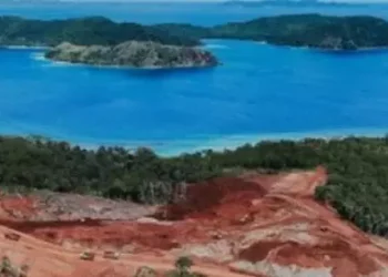 Dukungan Evaluasi Lingkungan untuk Tambang Nikel di Raja Ampat oleh AP3I