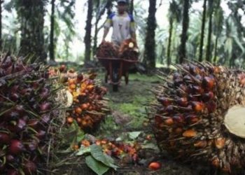 Laba TAPG Meningkat 75 Persen Menjadi Rp1,69 Triliun di Semester I 2025