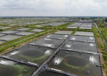 Dongkrak Produksi, Siapkan Belanja Modal Rp200 Miliar di 2025