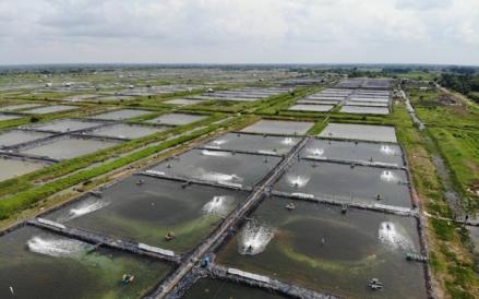 Dongkrak Produksi, Siapkan Belanja Modal Rp200 Miliar di 2025
