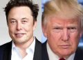 Trump Ancam Deportasi, Saham Tesla Terjun Bebas