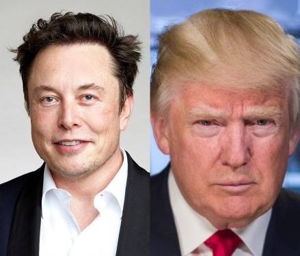 Trump Ancam Deportasi, Saham Tesla Terjun Bebas