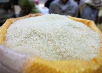 Kebutuhan Beras untuk Program MBG Mencapai 6000 Ton per Hari