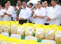 Pemerintah Salurkan 43 Ribu Ton Beras SPHP untuk Stabilkan Harga Hari Ini