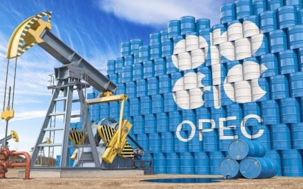 Proyeksi Permintaan Minyak Global Naik 1,4 Juta Bph pada 2026 Menurut OPEC