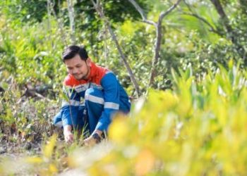 Lestarikan Ekosistem Pesisir melalui Pengembangan Kawasan Mangrove Kamal Muara