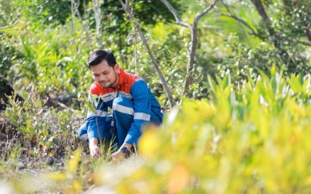 Lestarikan Ekosistem Pesisir melalui Pengembangan Kawasan Mangrove Kamal Muara