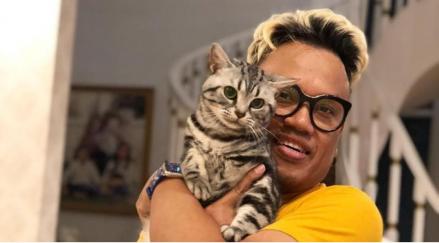 Harga Kucing Uya Kuya yang Raib Dijarah Saat Demo Bikin Melongo
