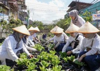 Dukungan BRI untuk Ketahanan Pangan Melalui Panen Raya BRInita