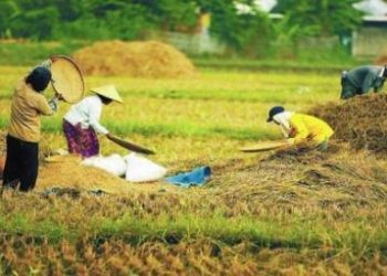 Riset Teknologi Swasembada Pangan dan Energi Diminta Prabowo kepada Mendiktisaintek