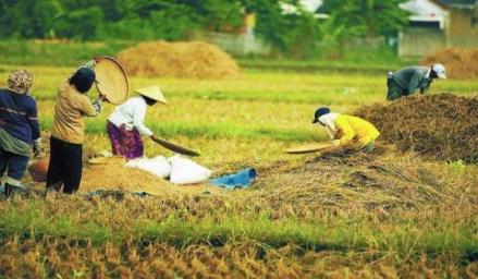 Riset Teknologi Swasembada Pangan dan Energi Diminta Prabowo kepada Mendiktisaintek