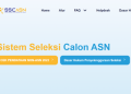 Mengisi Profil SSCASN untuk Persiapan Pendaftaran CPNS dan PPPK