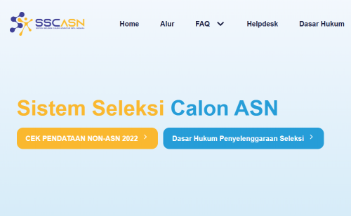 Mengisi Profil SSCASN untuk Persiapan Pendaftaran CPNS dan PPPK