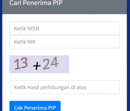 Cek PIP 2025 Lewat Handphone, Cepat Kurang Dari Semenit