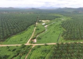 Austindo Raih Fasilitas Pinjaman Senilai Rp4,85 Triliun dari Bank BRI
