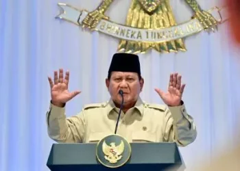 Prabowo Dukung Papua Menuju Swasembada Energi dengan Tenaga Surya dan Air