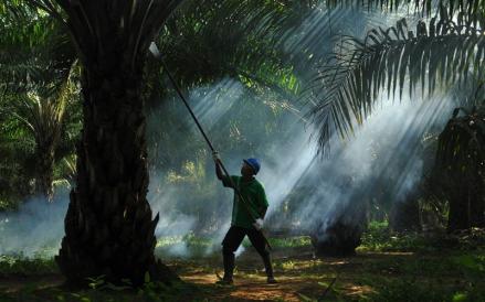 Akuisisi Sampoerna Agro oleh POSCO untuk Amankan Rantai Pasok CPO