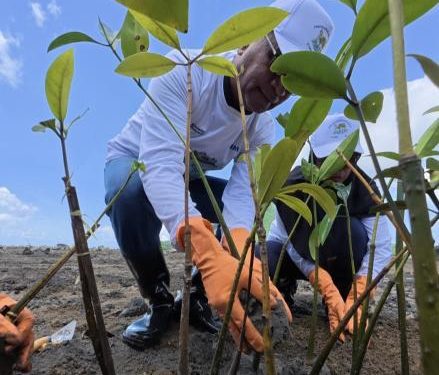 374839 Pohon Ditanam untuk Hijaukan Negeri di Hari Gerakan Satu Juta Pohon