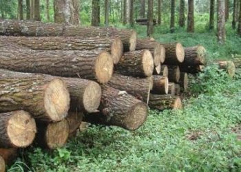 Presiden Direktur Suntik Dana Rp26 Miliar ke Perusahaan SLJ Global
