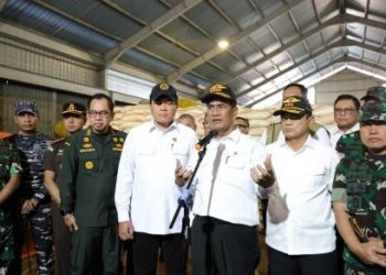Mentan Ungkap Bahaya Beras Ilegal Masuk ke Indonesia dan Kerugian bagi Negara