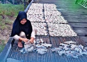 Pendampingan PNM Dirasakan Langsung oleh Perempuan Pesisir Kalimantan Timur