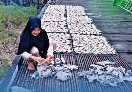 Pendampingan PNM Dirasakan Langsung oleh Perempuan Pesisir Kalimantan Timur